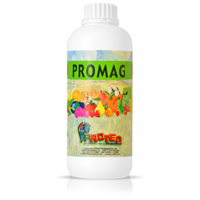 promag