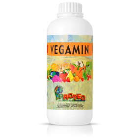 Vegamin