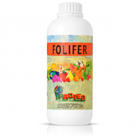 Folifer