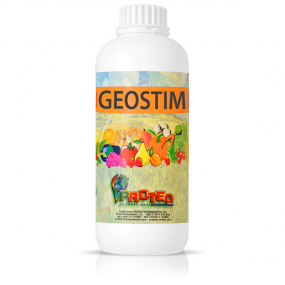 Geostim