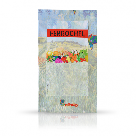 FERROCHEL