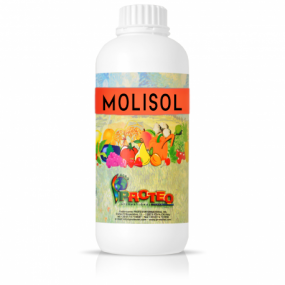 MOLISOL