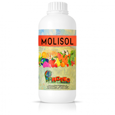 MOLISOL