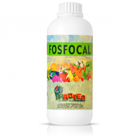 Fosfocal