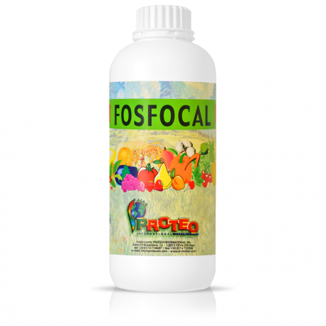 FOSFOCAL