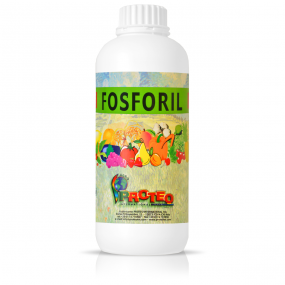 Fosforil